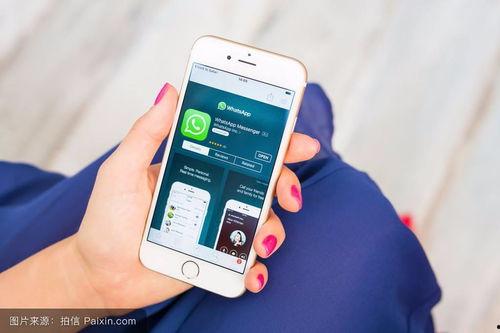 塑料树手机在线观看,塑料树手机在线观看，带你穿越时光隧道